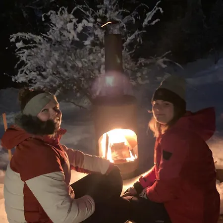 Vicana Chalet Kirchbach (Carinthia)